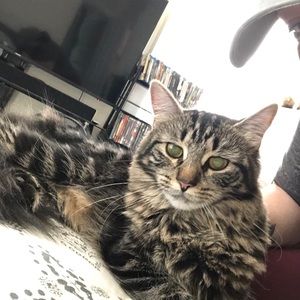 Meet your Posher, Shaina